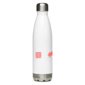 Stainless steel water bottle